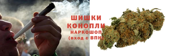 дурь Болохово