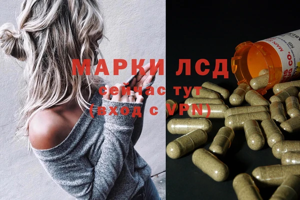 дурь Болохово