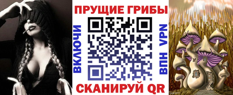 Псилоцибиновые грибы прущие грибы  продажа наркотиков  Любим 